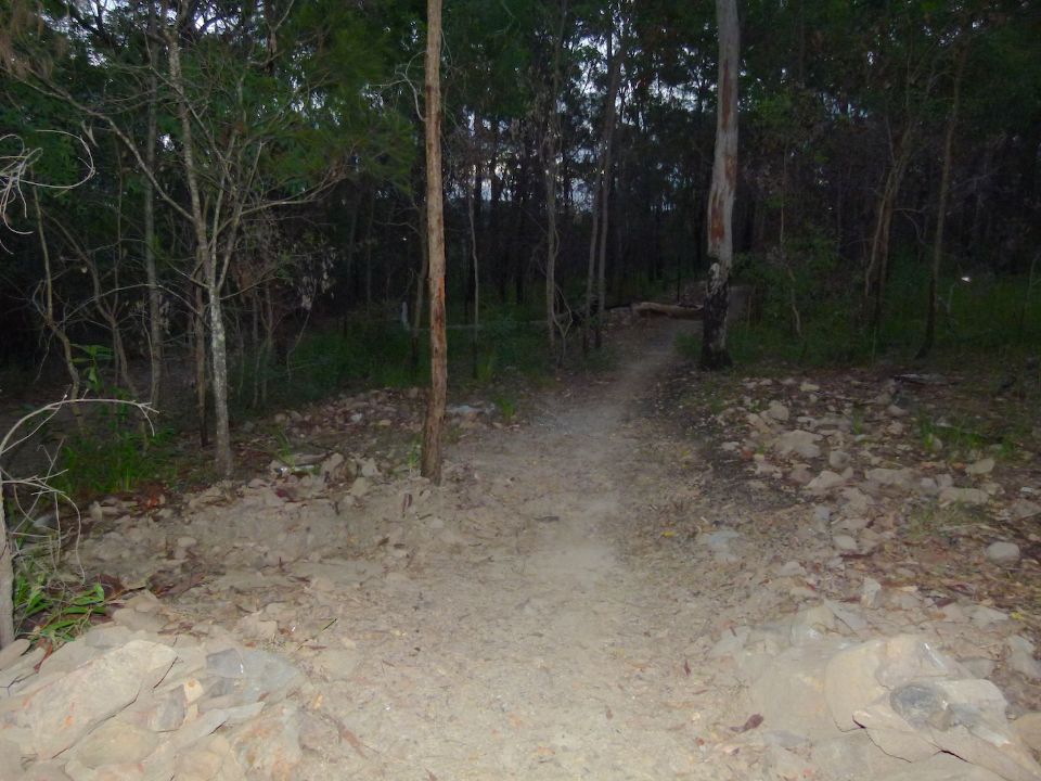 P1160362.jpg